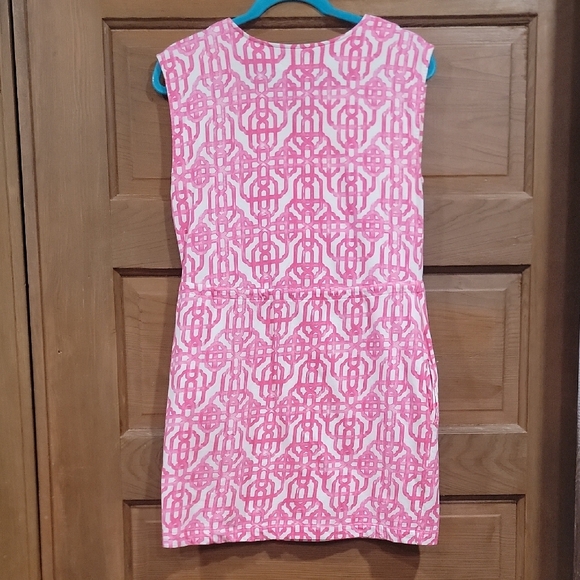 Mud Pie Pink and Cream Lace Mini Dress - Picture 10 of 10